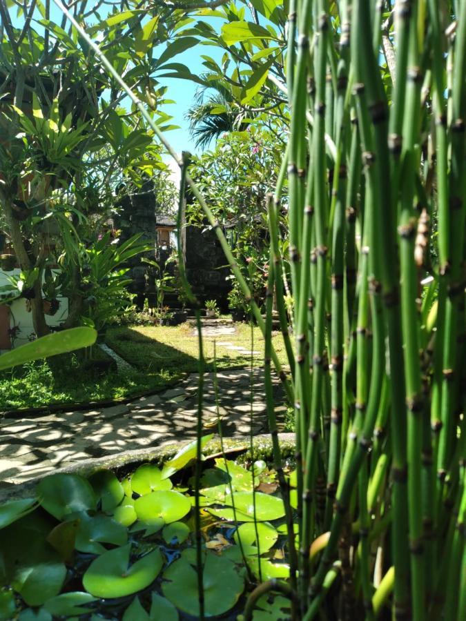 Serongga Guest House Lebih Exterior foto