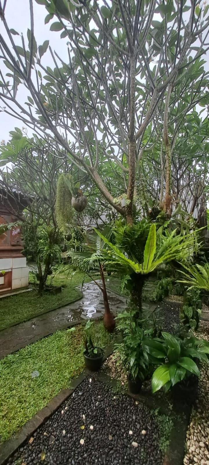 Serongga Guest House Lebih Exterior foto